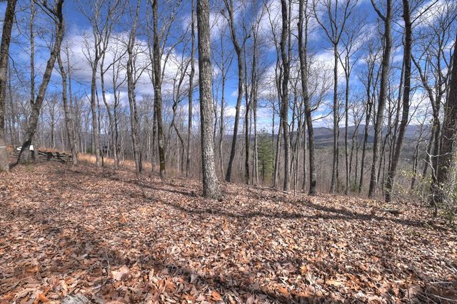 LT 14R Tanager Trail, Ellijay, GA 30536