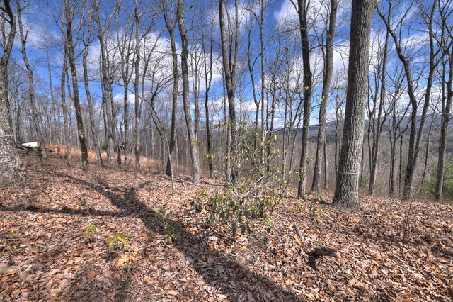 LT 14R Tanager Trail, Ellijay, GA 30536