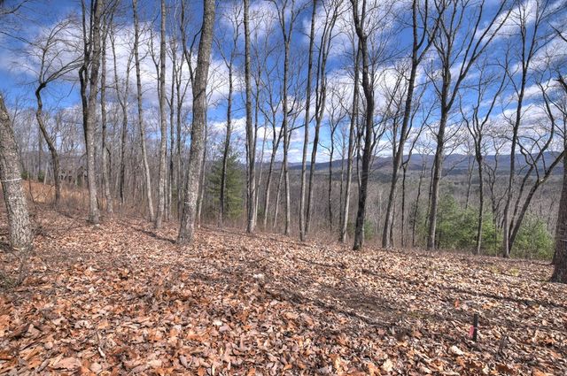 LT 14R Tanager Trail, Ellijay, GA 30536