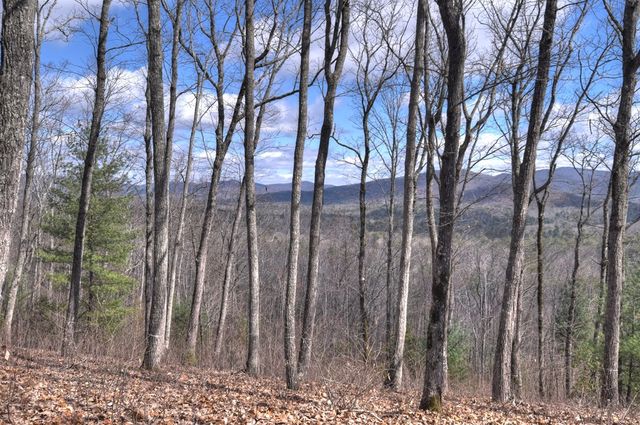 LT 14R Tanager Trail, Ellijay, GA 30536