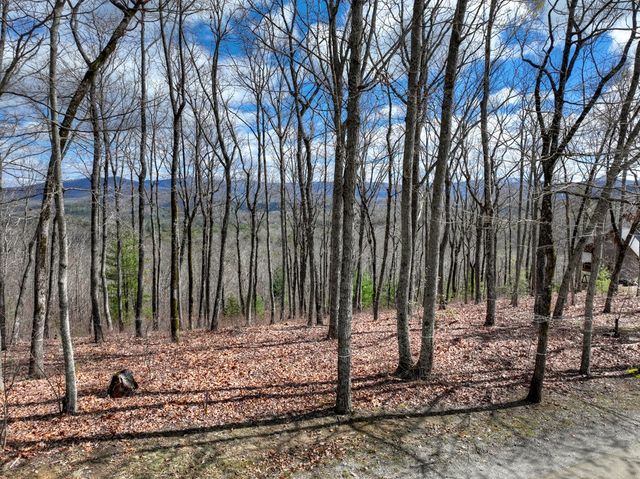 LT 14R Tanager Trail, Ellijay, GA 30536