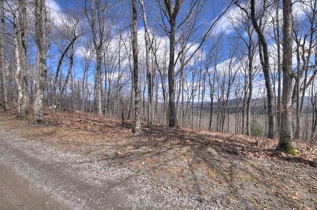 LT 14R Tanager Trail, Ellijay, GA 30536