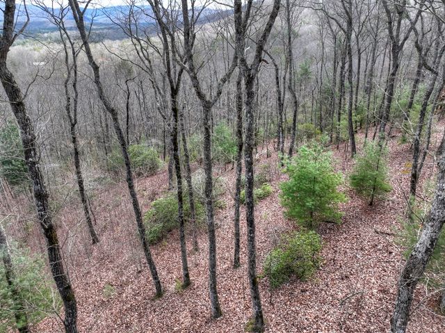 LT 14R Tanager Trail, Ellijay, GA 30536