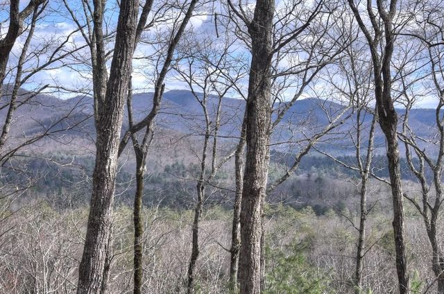 LT 14R Tanager Trail, Ellijay, GA 30536