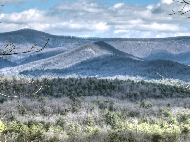 LT 14R Tanager Trail, Ellijay, GA 30536