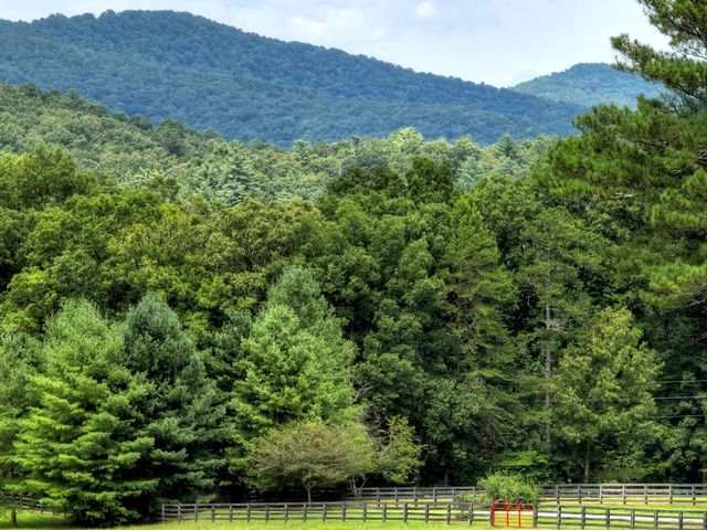 LT 14R Tanager Trail, Ellijay, GA 30536