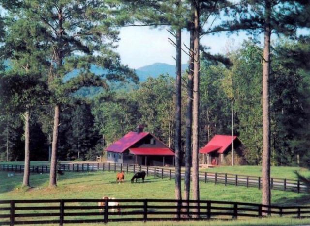 LT 14R Tanager Trail, Ellijay, GA 30536