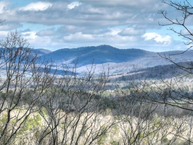 LT 14R Tanager Trail, Ellijay, GA 30536
