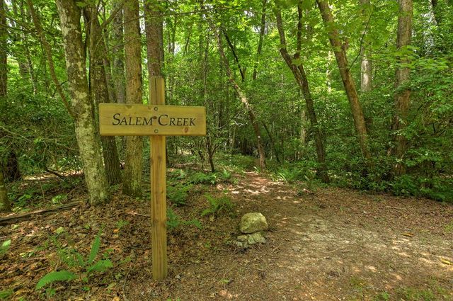 LT 14R Tanager Trail, Ellijay, GA 30536
