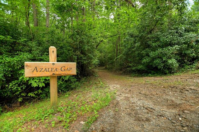 LT 14R Tanager Trail, Ellijay, GA 30536