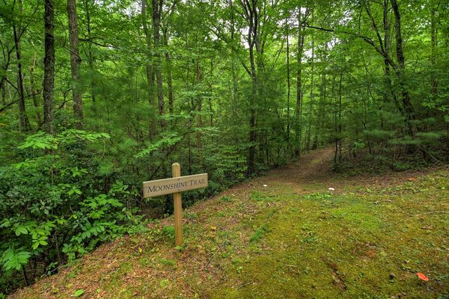 LT 14R Tanager Trail, Ellijay, GA 30536