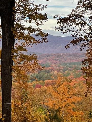 LT 14R Tanager Trail, Ellijay, GA 30536