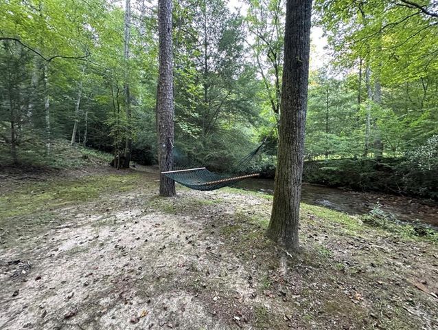 LT 14R Tanager Trail, Ellijay, GA 30536