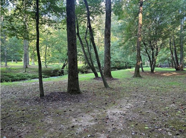 LT 14R Tanager Trail, Ellijay, GA 30536