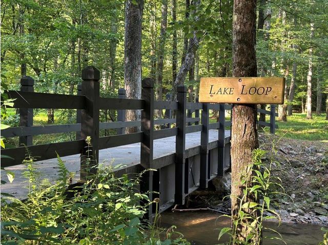 LT 14R Tanager Trail, Ellijay, GA 30536