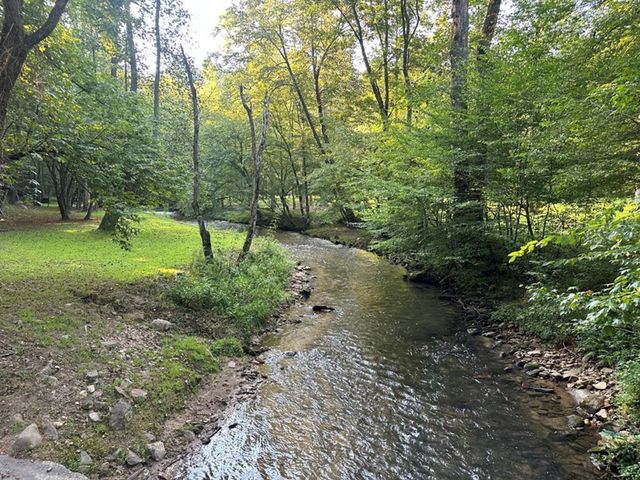 LT 14R Tanager Trail, Ellijay, GA 30536