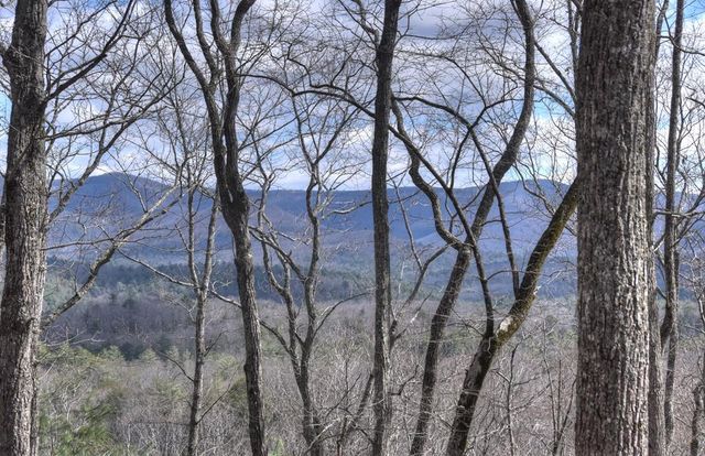 LT 14R Tanager Trail, Ellijay, GA 30536