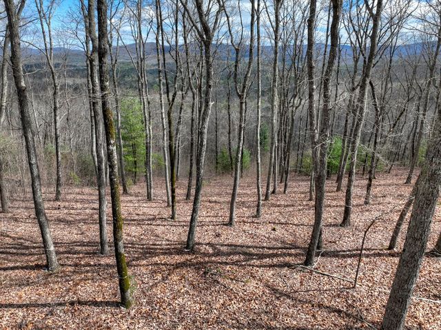 LT 14R Tanager Trail, Ellijay, GA 30536