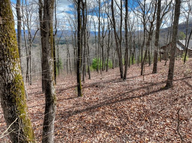 LT 14R Tanager Trail, Ellijay, GA 30536