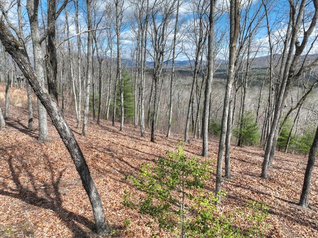 LT 14R Tanager Trail, Ellijay, GA 30536