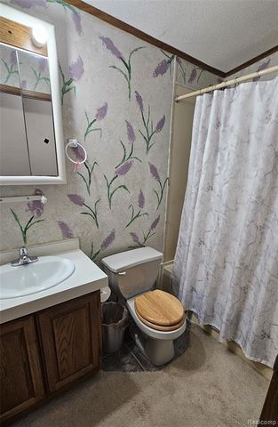 655 Park View, Clio, MI 48420