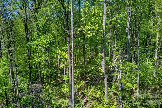 7 Gateway Parkway, Old Fort, NC 28762