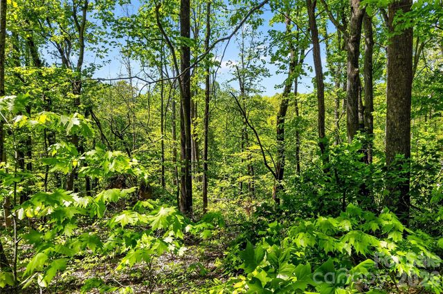 7 Gateway Parkway, Old Fort, NC 28762