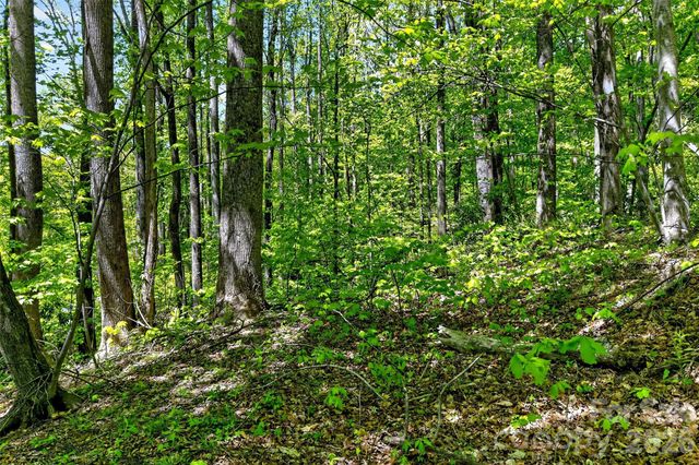 7 Gateway Parkway, Old Fort, NC 28762