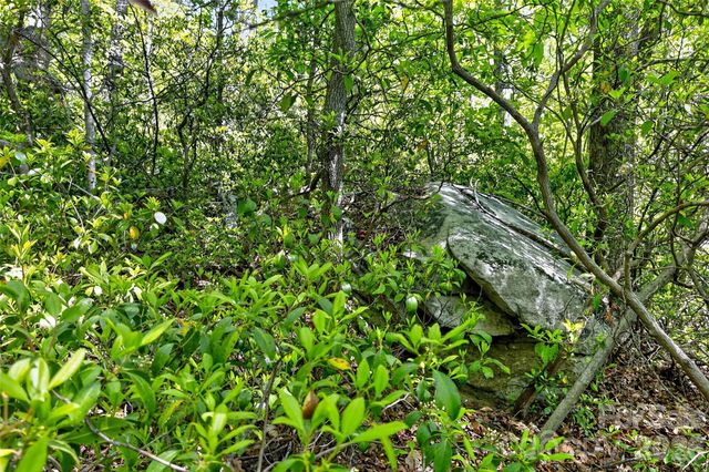 7 Gateway Parkway, Old Fort, NC 28762