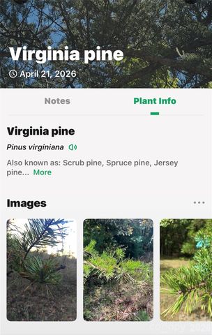 7 Gateway Parkway, Old Fort, NC 28762