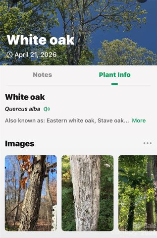 7 Gateway Parkway, Old Fort, NC 28762