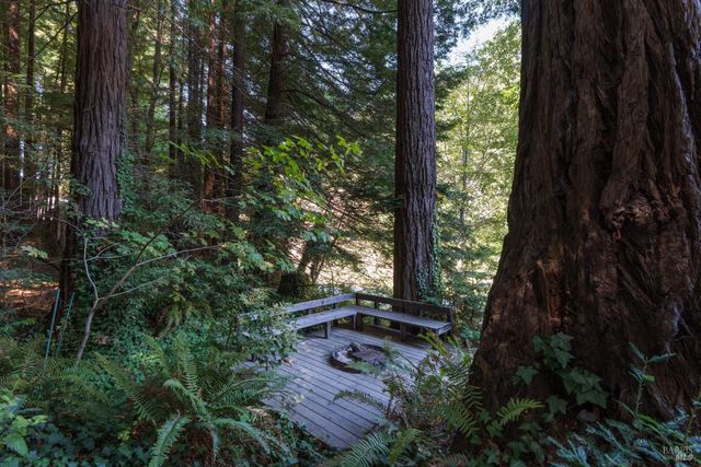 1050 Cazadero Hwy, Cazadero, CA 95421