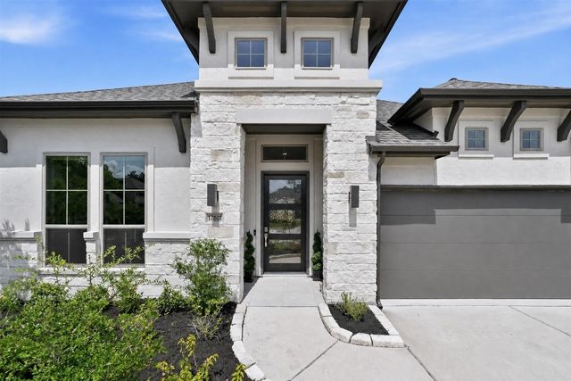 17801 Parnassum Path, Conroe, TX 77302