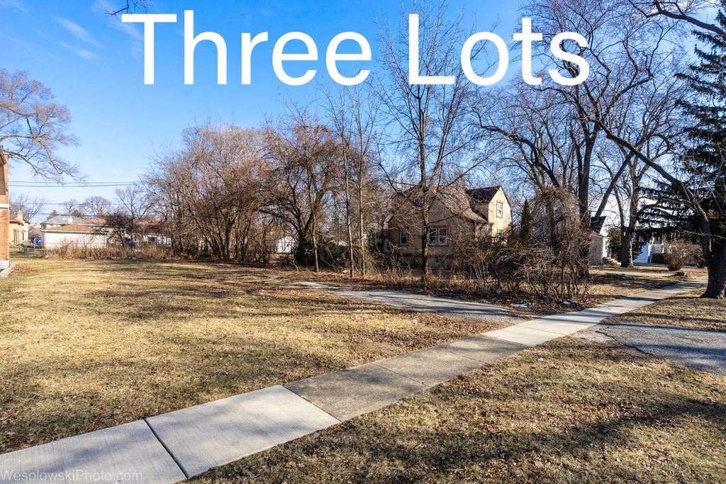1738 Lunt Avenue, Des Plaines, IL 60018 — exterior