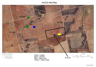TBD (2) County Road 365, Trent, TX 79561