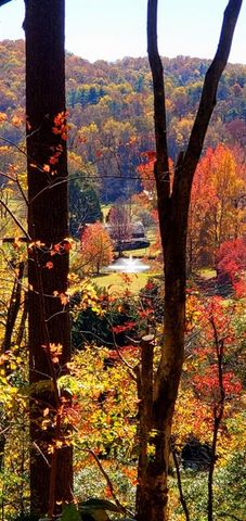 LOT 4 Gold Ridge Trail, Cherry Log, GA 30522