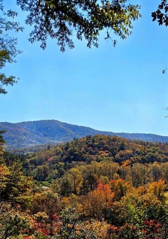 LOT 4 Gold Ridge Trail, Cherry Log, GA 30522