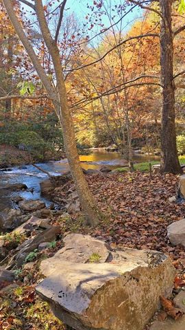 LOT 4 Gold Ridge Trail, Cherry Log, GA 30522