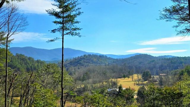 LOT 4 Gold Ridge Trail, Cherry Log, GA 30522
