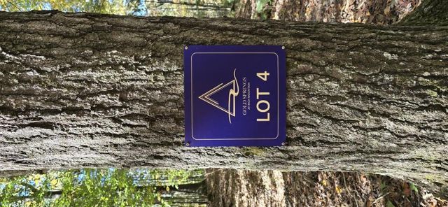LOT 4 Gold Ridge Trail, Cherry Log, GA 30522