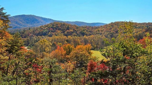 LOT 4 Gold Ridge Trail, Cherry Log, GA 30522