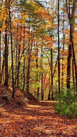 LOT 4 Gold Ridge Trail, Cherry Log, GA 30522