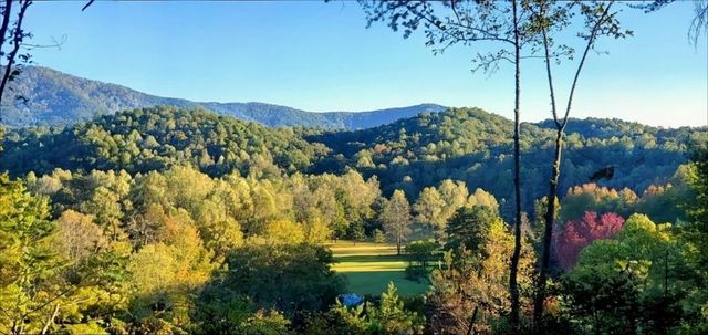 LOT 4 Gold Ridge Trail, Cherry Log, GA 30522