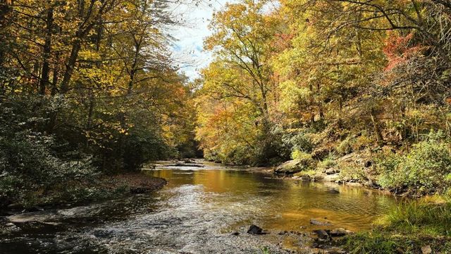 LOT 4 Gold Ridge Trail, Cherry Log, GA 30522