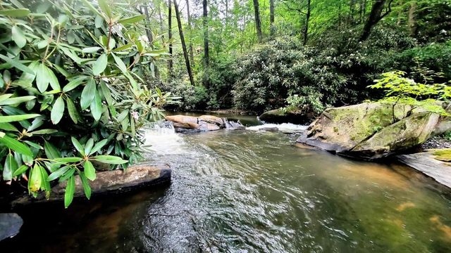 LOT 4 Gold Ridge Trail, Cherry Log, GA 30522