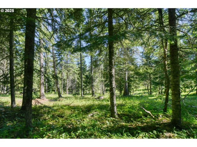 78486 STRAWBERRY Ln, Weston, OR 97886
