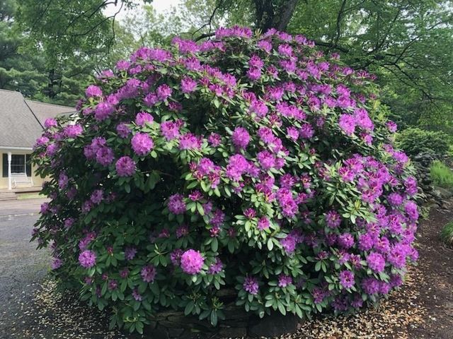 495 Grafton St, Shrewsbury, MA 01545