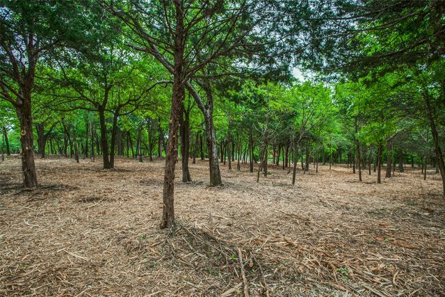 TBD E Farm to Market 455, Pilot Point, TX 76258