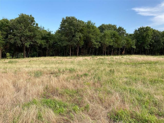 TBD E Farm to Market 455, Pilot Point, TX 76258