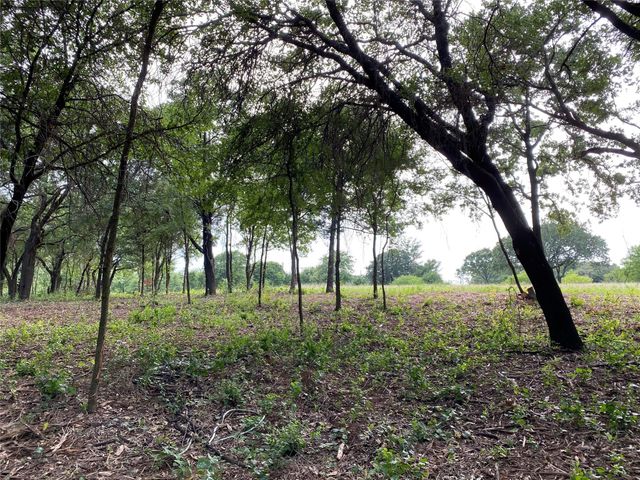 TBD E Farm to Market 455, Pilot Point, TX 76258